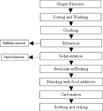 Ginger Processing Flow Chart