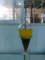 Phd thesis biodiesel